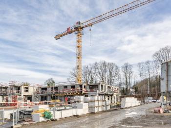 codeveloppement
