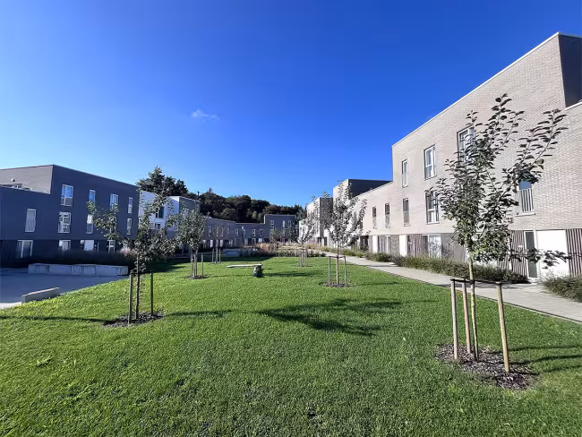 Portes ouvertes à Schoppach - Découvrez les appartements